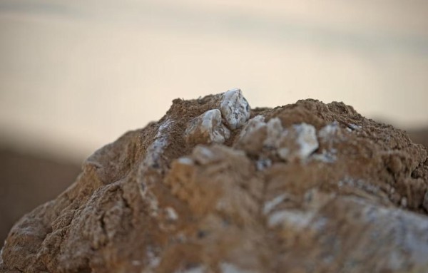 Очередное открытие в Дманиси: «Это может дать нам много информации о человечестве» - что пишет Reuters?