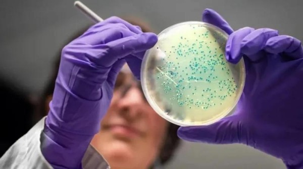 Искусственный интеллект разработал два новых антибиотика - ученые считают, что ИИ может создать «второй золотой век» в медицине