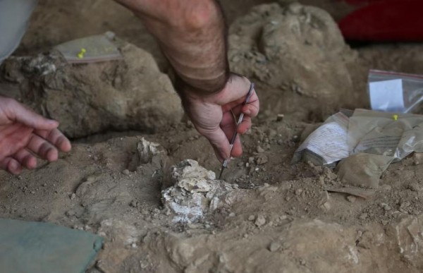 Очередное открытие в Дманиси: «Это может дать нам много информации о человечестве» - что пишет Reuters?