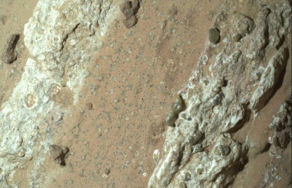 НАСА заявляет, что обнаруженная на Марсе порода содержит «явный признак» древней жизни НАСА заявляет, что обнаруженная на Марсе порода содержит «явный признак» древней жизни