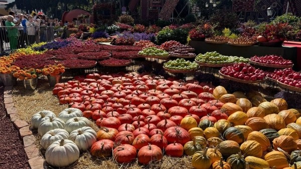 "Тбилисоба-2025": столица Грузии празднует свой день рождения