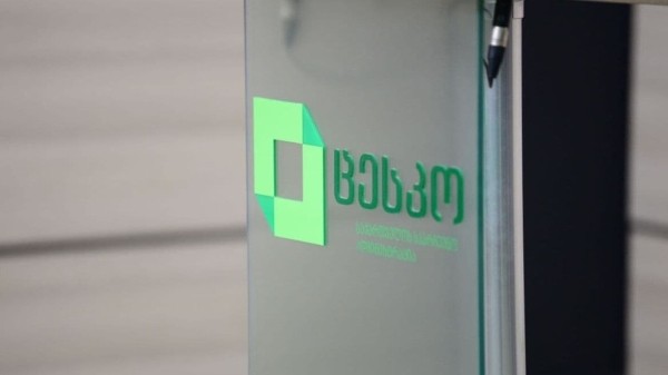 Выборы в Грузии 2025: наблюдать за выборами  готовы 23 международные организации