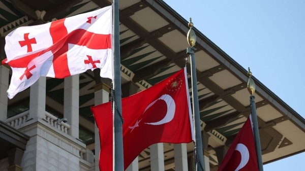 Грузия и Турция углубляют партнерство в сфере молодежной политики