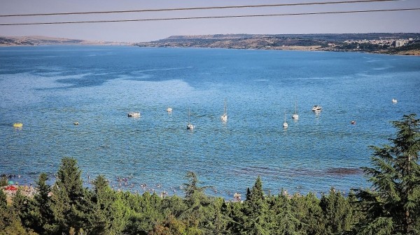 Не хуже чем "Диснейленд" – в Тбилиси построят крупнейший парк развлечений региона