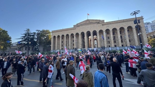 Как вы оцениваете блокировку улиц протестующими в Грузии?