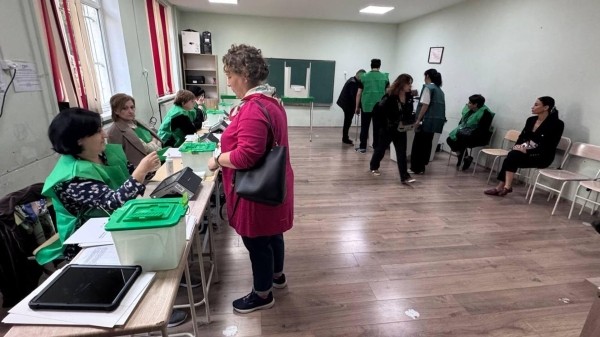 Названы самые активные регионы на выборах Грузии к 12:00