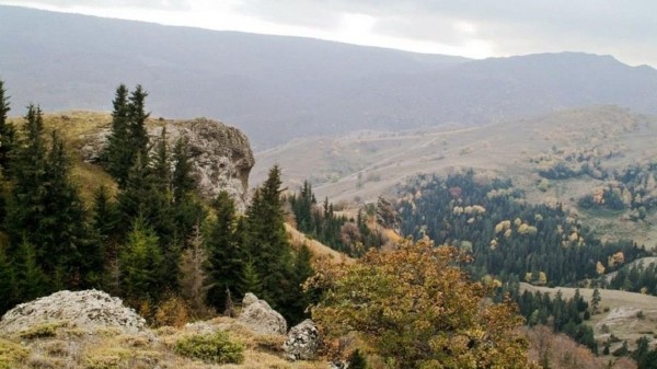 В Грузии в дикую природу выпущены сотни серых куропаток и кекликов В Грузии в дикую природу выпущены сотни серых куропаток и кекликов