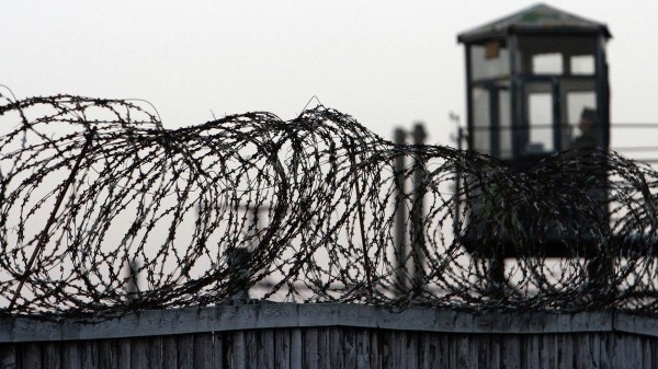 Грузинские тюрьмы бьют рекорды по числу заключенных