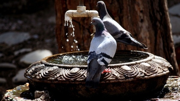 Национальная комиссия по водоснабжению Грузии готова пересмотреть тариф на воду в Грузии Национальная комиссия по водоснабжению Грузии готова пересмотреть тариф на воду в Грузии