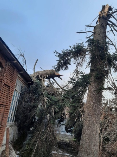 В Хашури и Кахети сильный ветер сорвал крыши с домов, вышли из стоя линии электропередачи, повалены деревья: задействована горячая линия (фото) В Хашури и Кахети сильный ветер сорвал крыши с домов, вышли из стоя линии электропередачи, повалены деревья: задействована горячая линия (фото)