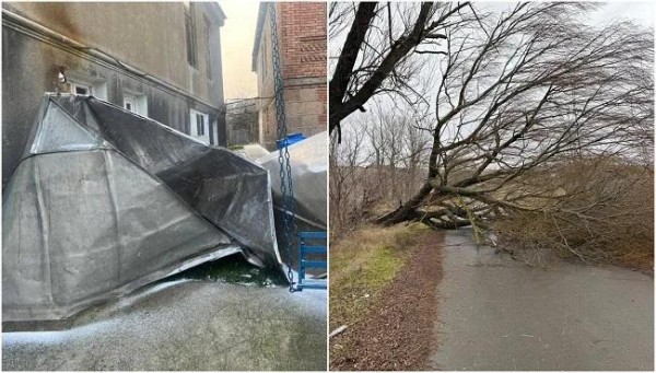 В Хашури и Кахети сильный ветер сорвал крыши с домов, вышли из стоя линии электропередачи, повалены деревья: задействована горячая линия (фото) В Хашури и Кахети сильный ветер сорвал крыши с домов, вышли из стоя линии электропередачи, повалены деревья: задействована горячая линия (фото)