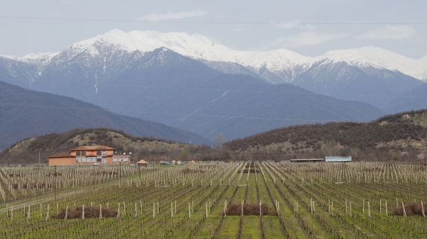 Системная регистрация земли в Грузии завершается: что дальше?