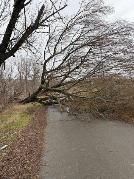 В Хашури и Кахети сильный ветер сорвал крыши с домов, вышли из стоя линии электропередачи, повалены деревья: задействована горячая линия (фото) В Хашури и Кахети сильный ветер сорвал крыши с домов, вышли из стоя линии электропередачи, повалены деревья: задействована горячая линия (фото)