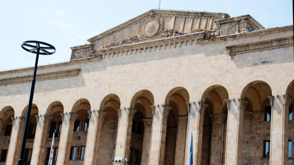 Систематизировать процесс &ndash; почему в Грузии ограничивают работу иностранцев