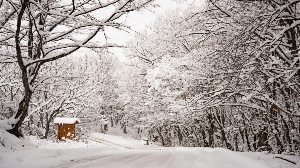 Как долго продлятся морозы в Грузии?