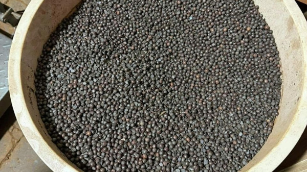 Жареный горох вместо кофе: в Тбилиси приостановили работу кофейного завода