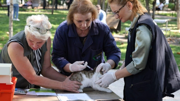 Тысяча проверок и 28 нарушений: итоги контроля ветклиник в 2025 году