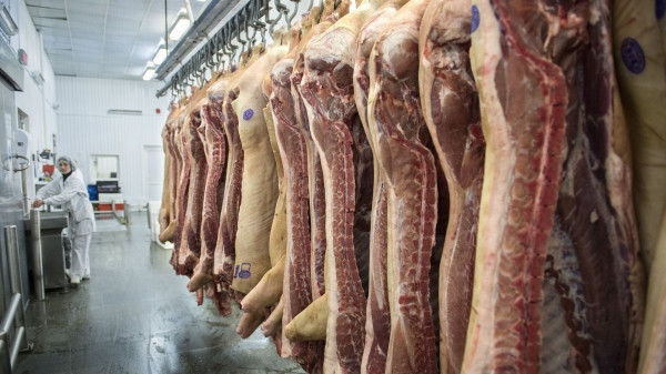 Что мы едим? В Гори выявили незаконные скотобойни