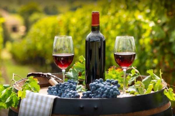 Правительство объявило 8 мая Национальным днем вина Правительство объявило 8 мая Национальным днем вина