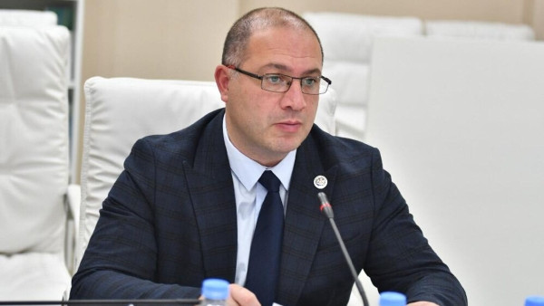 Все законы об образовании Грузии объединят в один &ndash; министр