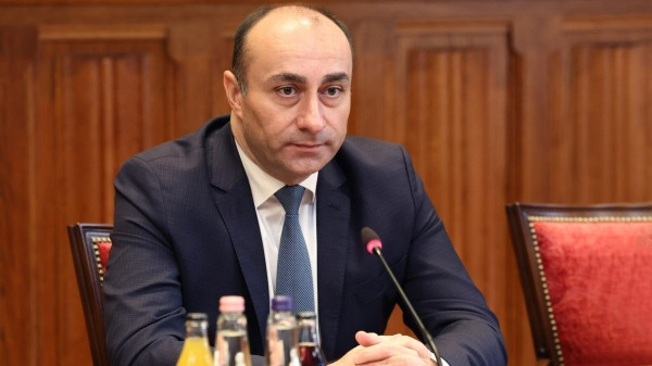 В Грузии анонсировали массовое выдворение нелегалов В Грузии анонсировали массовое выдворение нелегалов