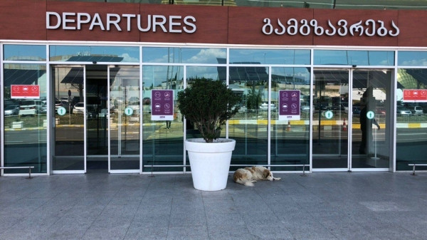 Борьба с нелегалами в Грузии: Из страны выдворили 35 иностранцев Борьба с нелегалами в Грузии: Из страны выдворили 35 иностранцев