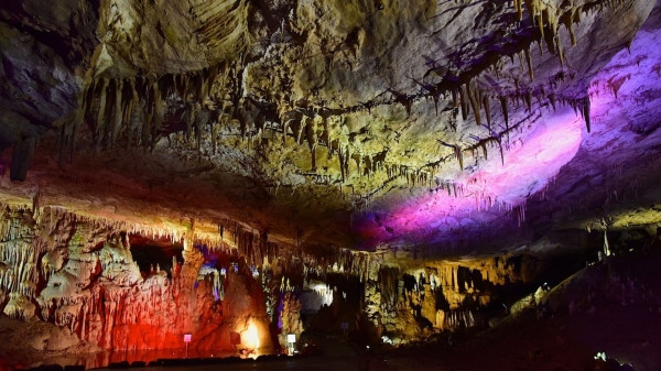 Интерес к заповедникам Грузии растет и зимой – самые популярные места Интерес к заповедникам Грузии растет и зимой – самые популярные места