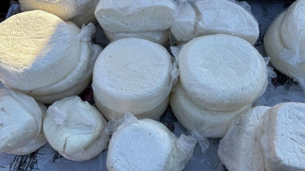 Что мы едим? Нелегальные сыроварни обнаружили в нескольких регионах Грузии