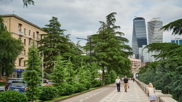 Что нельзя делать в день летнего солнцестояния 2023? Народные приметы