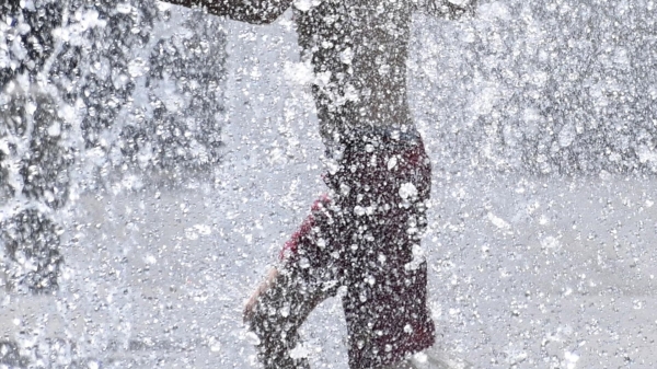 Будьте осторожны на природе – Агентство охраняемых территорий предупреждает жителей Грузии