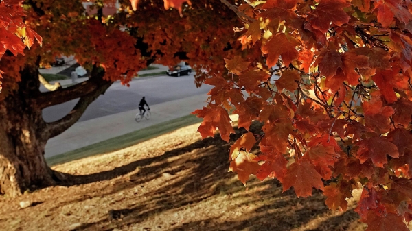 Народные приметы на Самойлов день 2023: что нельзя делать 2 сентября? Народные приметы на Самойлов день 2023: что нельзя делать 2 сентября?